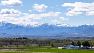 ホームページをリニューアルしました